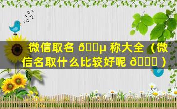 微信取名 🌵 称大全（微信名取什么比较好呢 🐈 ）